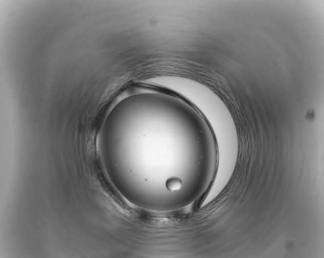 X0000094220239200711021146