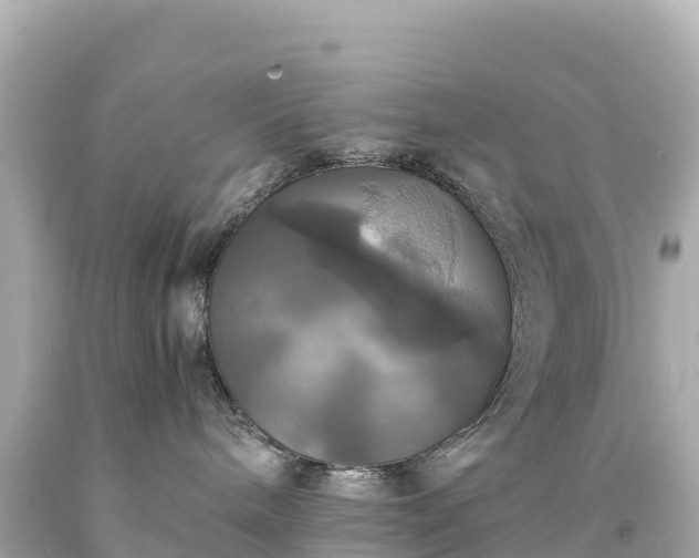 X0000094220240200711021146