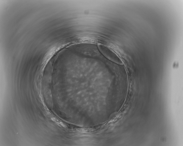 X0000094220241200711021146