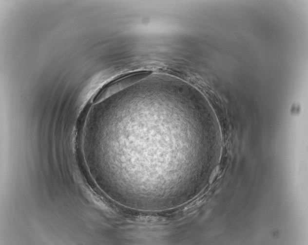 X0000094220242200711021146