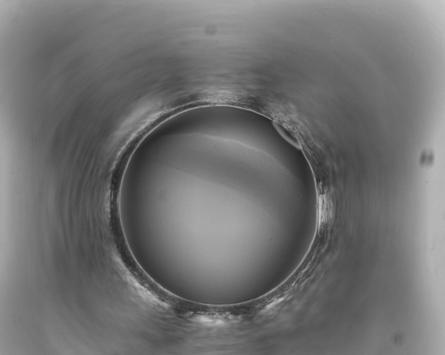 X0000094220243200711021146