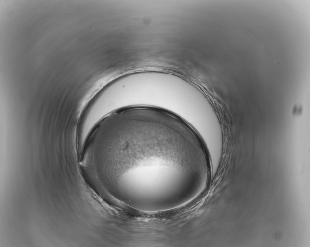 X0000094220244200711021146