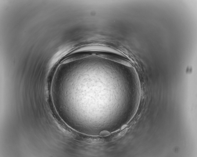 X0000094220245200711021146