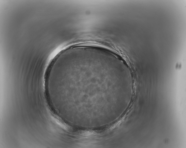 X0000094220246200711021146