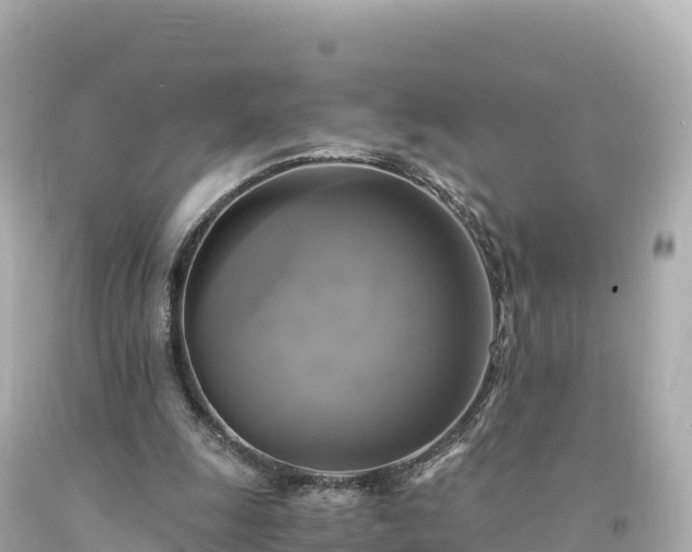 X0000094220247200711021146