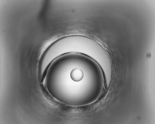 X0000094220248200711021146