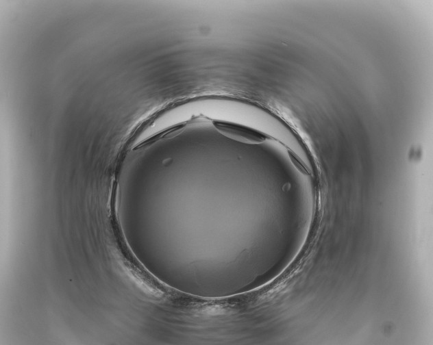 X0000094220249200711021146