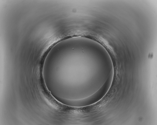 X0000094220250200711021146