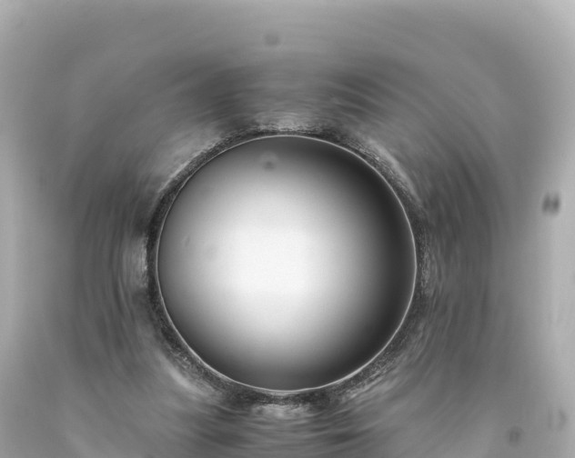 X0000094220251200711021146