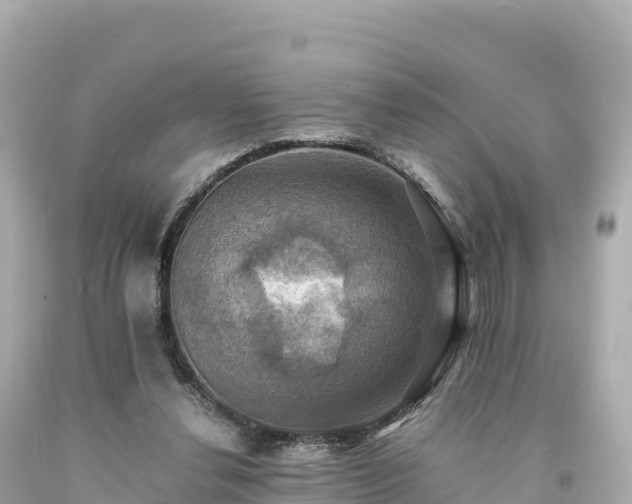 X0000094220252200711021146