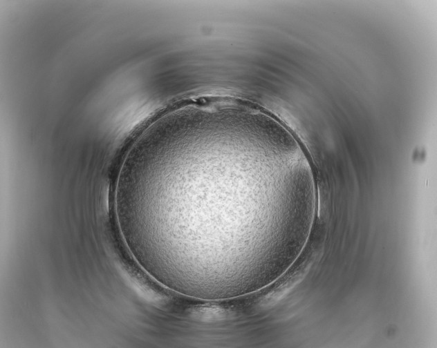 X0000094220253200711021146