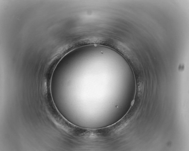 X0000094220254200711021146