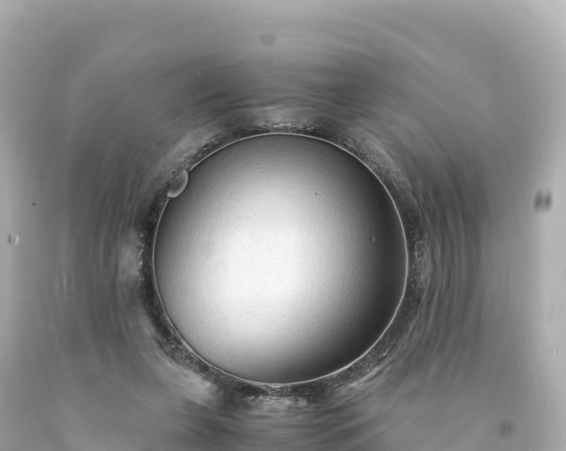 X0000094220255200711021146