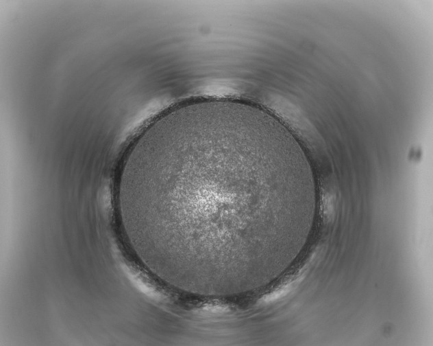 X0000094220256200711021146