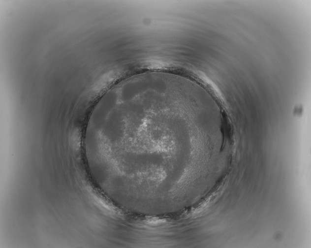 X0000094220257200711021146