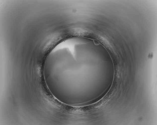 X0000094220258200711021146