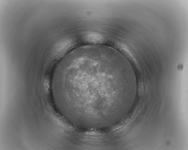 X0000094220259200711021146