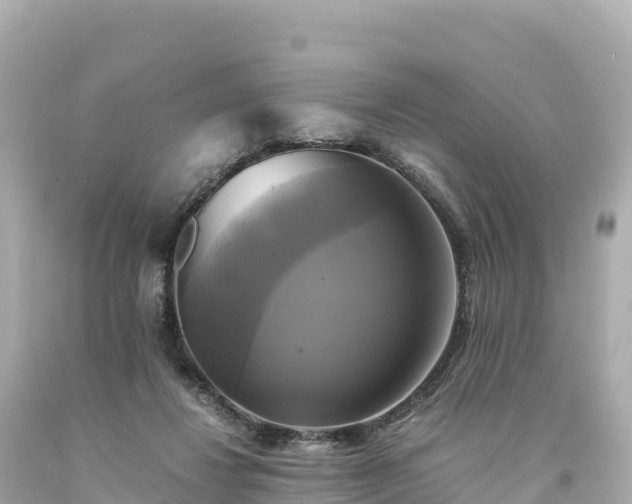 X0000094220260200711021146