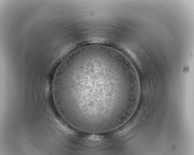 X0000094220261200711021146