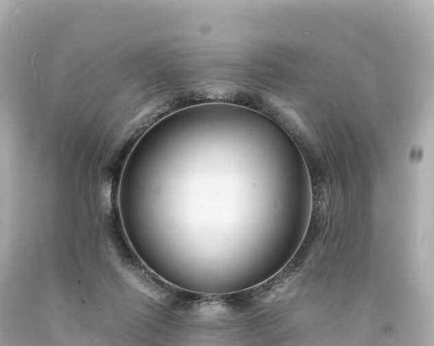 X0000094220262200711021146