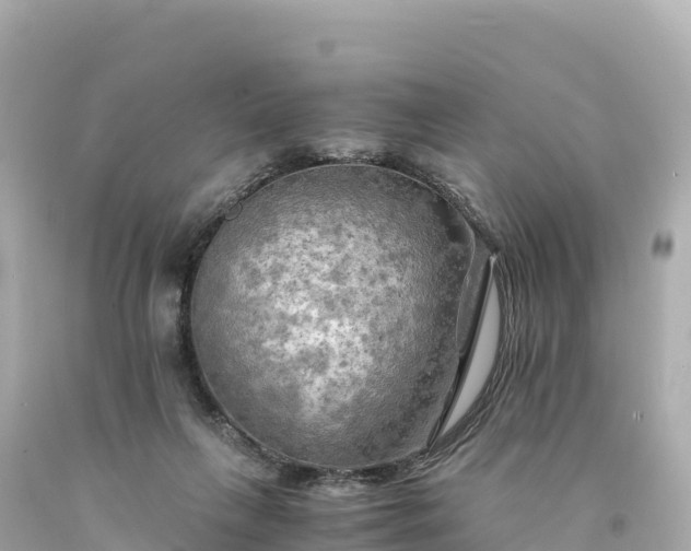 X0000094220263200711021146