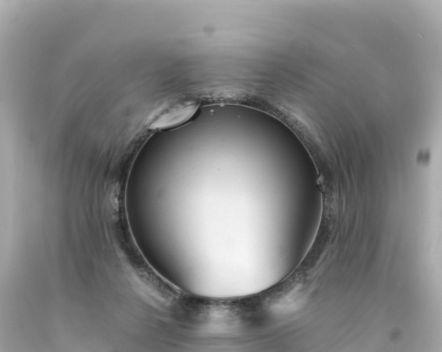 X0000094220264200711021146