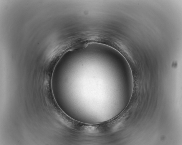 X0000094220265200711021146