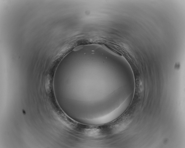 X0000094220266200711021146