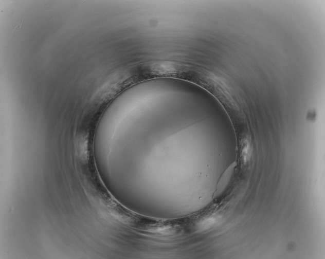 X0000094220267200711021146