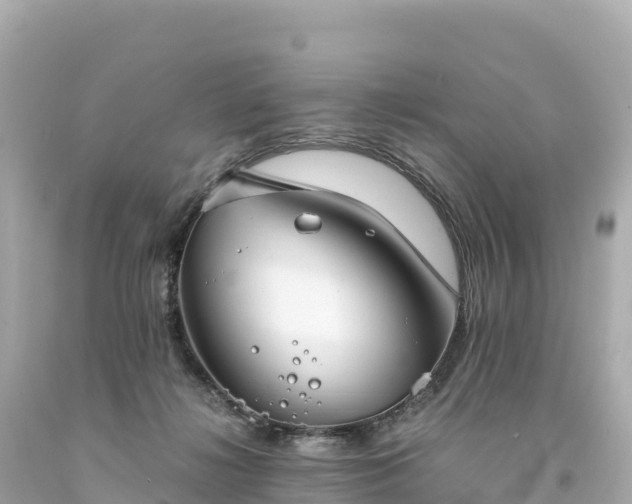 X0000094220268200711021146