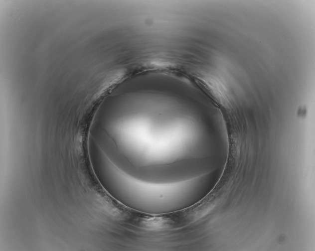 X0000094220269200711021146