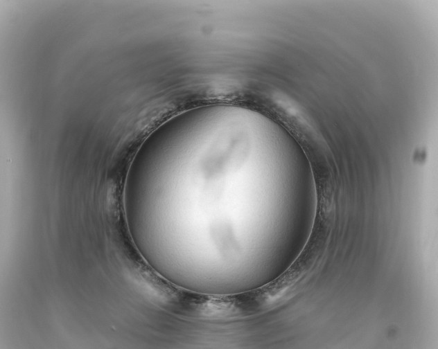 X0000094220270200711021146