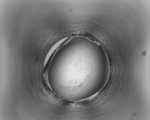 X0000094220272200711021146