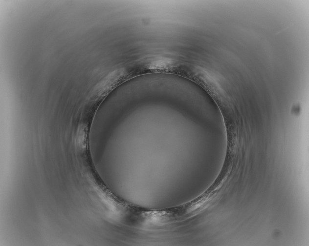 X0000094220273200711021146