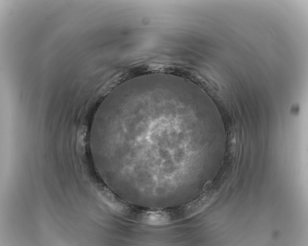 X0000094220275200711021146