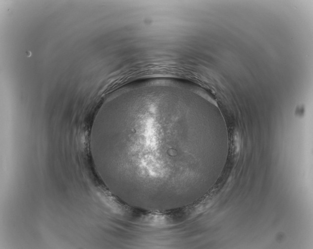 X0000094220276200711021146