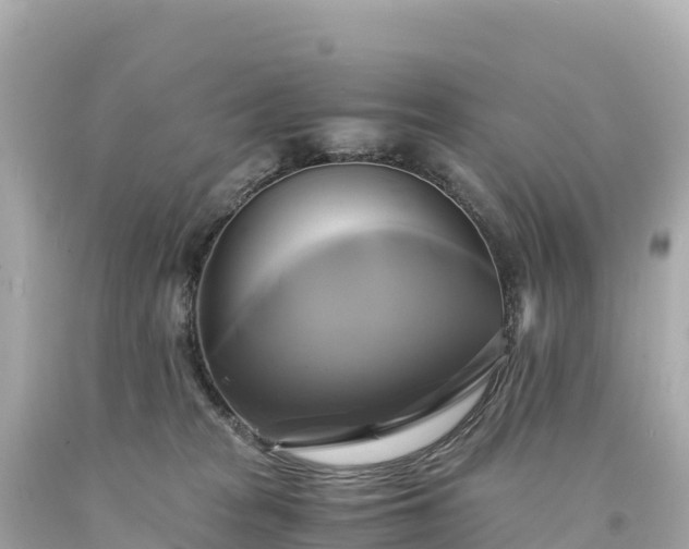 X0000094220277200711021146