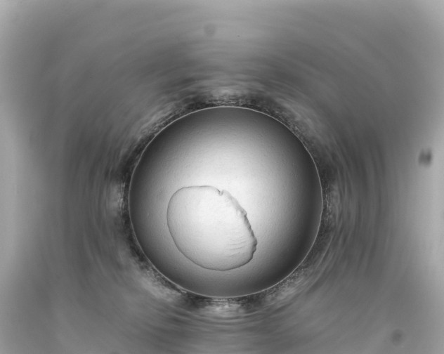 X0000094220278200711021146