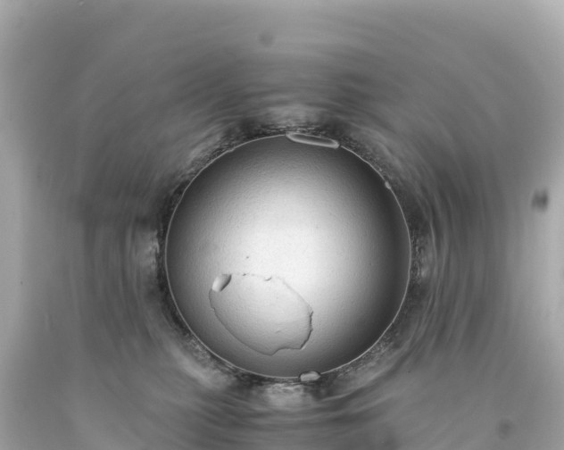 X0000094220279200711021146