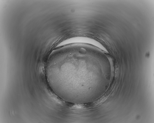 X0000094220280200711021146