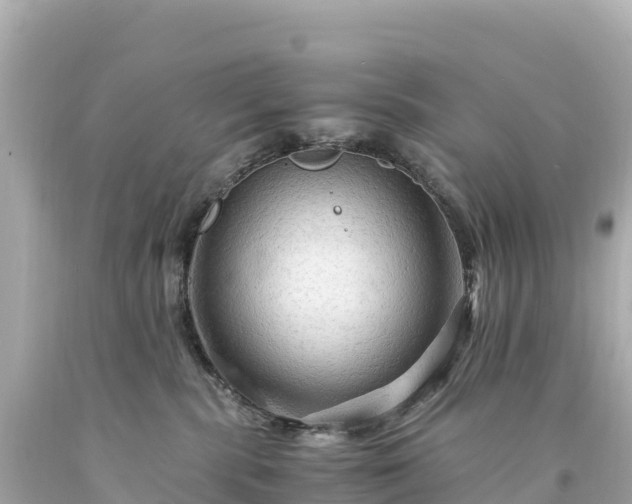 X0000094220283200711021146