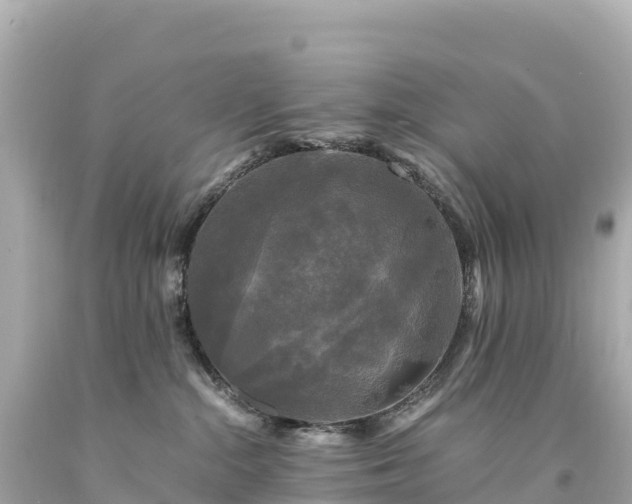 X0000094220284200711021146