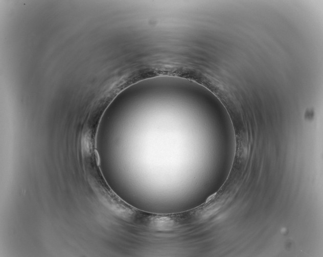 X0000094220287200711021146