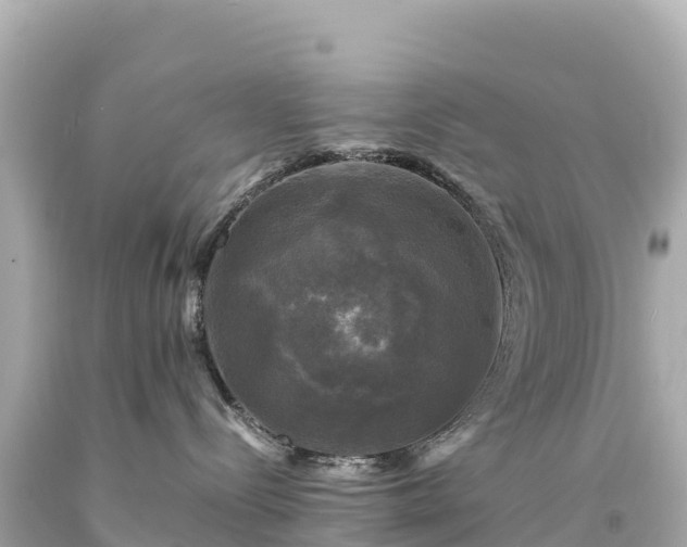 X0000094220288200711021146