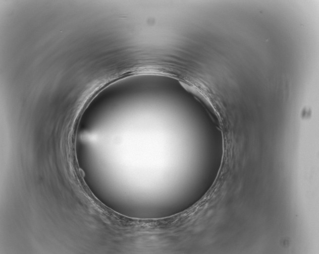 X0000094220289200711021146