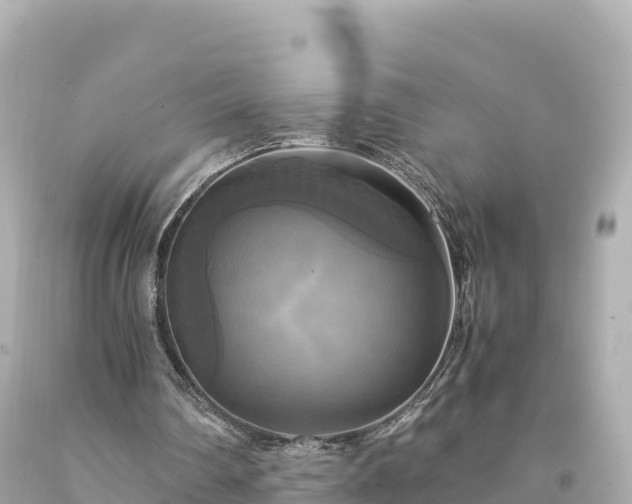 X0000094220290200711021146