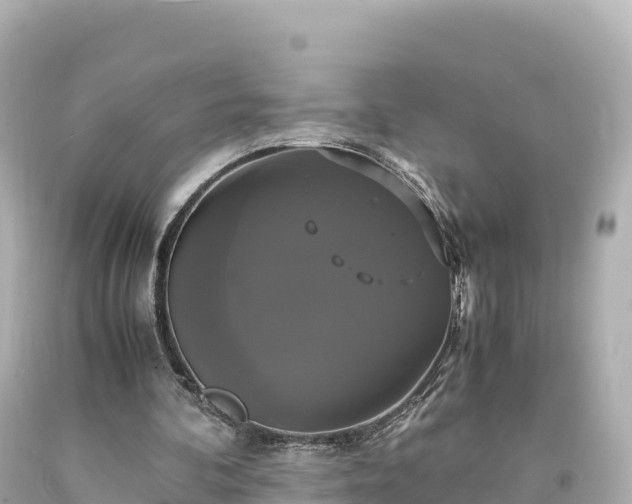 X0000094220292200711021146