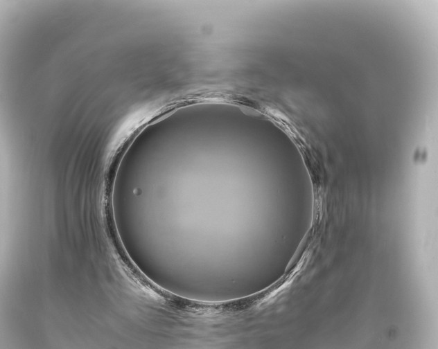 X0000094220293200711021146