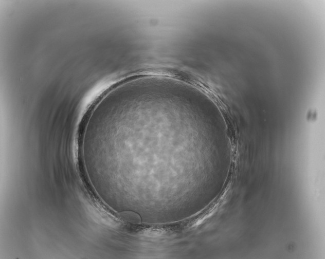 X0000094220294200711021146