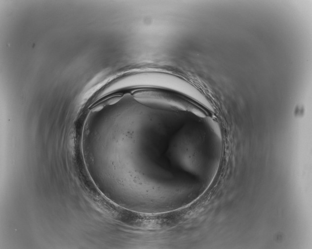 X0000094220295200711021146